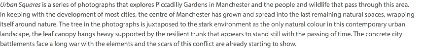 Urban Squares is a series of photographs that explores Piccadilly Gardens in Manchester and the people and wildlife that pass through this area.  In keeping with the development of most cities, the centre of Manchester has grown and spread into the last remaining natural spaces, wrapping itself around nature. The tree in the photographs is juxtaposed to the stark environment as the only natural colour in this contemporary urban landscape, the leaf canopy hangs heavy supported by the resilient trunk that appears to stand still with the passing of time. The concrete city battlements face a long war with the elements and the scars of this conflict are already starting to show. 